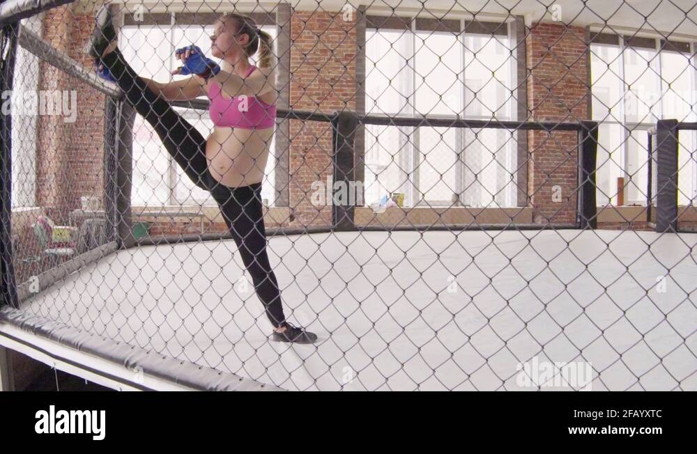 Pregnant boxing Stock Videos & Footage HD and 4K Video Clips Alamy