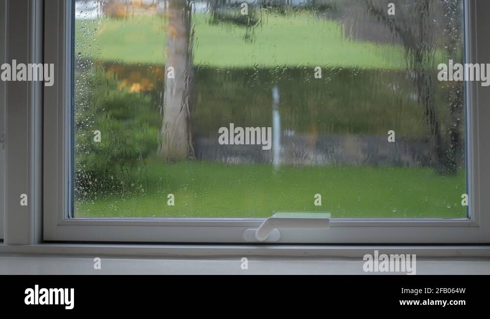 Running inside from rain Stock Videos & Footage - HD and 4K Video Clips ...