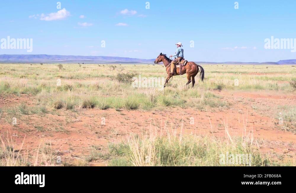 Texas western Stock Videos & Footage - HD and 4K Video Clips - Alamy