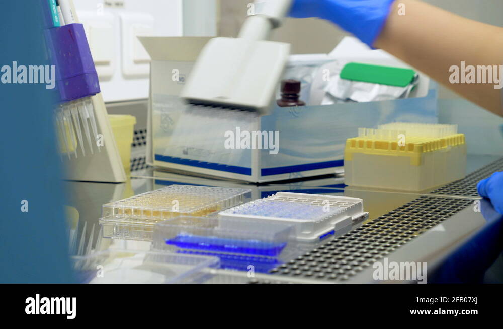 Laboratorium Examination Examinations Stock Videos & Footage - HD and 4K Video Clips - Alamy
