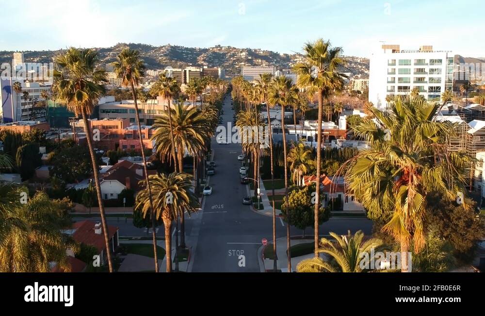 Palm tree lined street in Beverly Hills with Hollywood Hills in
