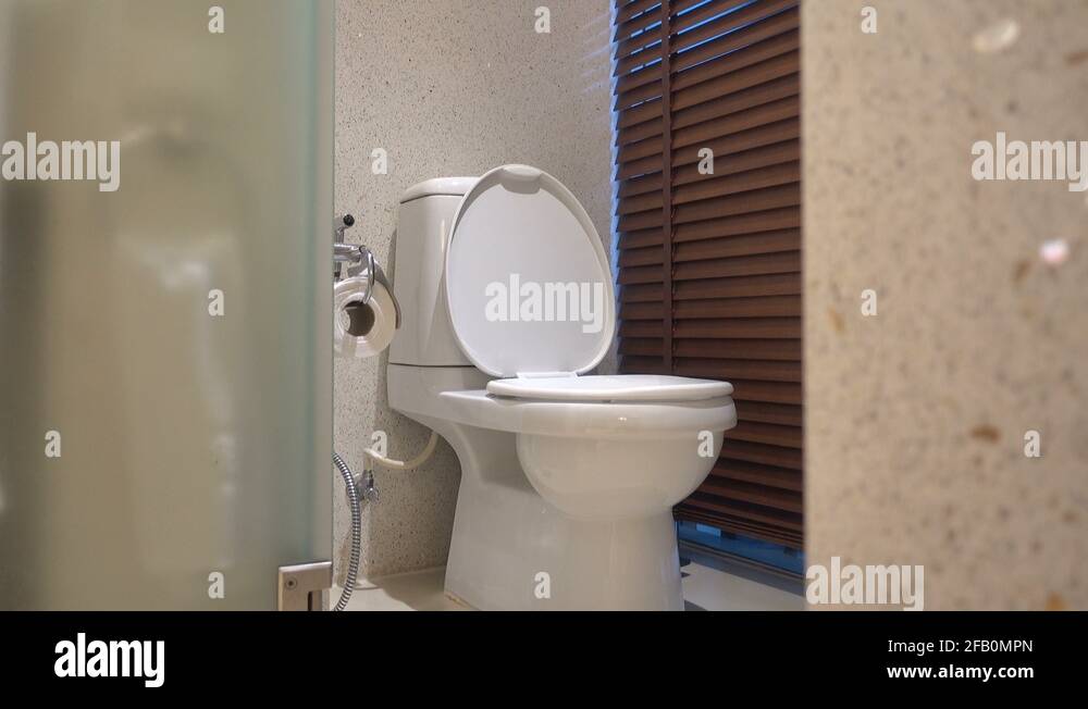 Luxury hotel toilet Stock Videos & Footage - HD and 4K Video Clips - Alamy