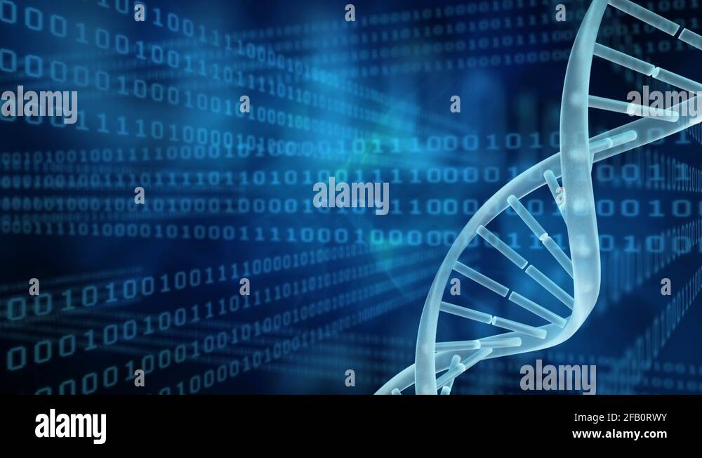 dna-code-analysis-stock-videos-footage-hd-and-4k-video-clips-alamy