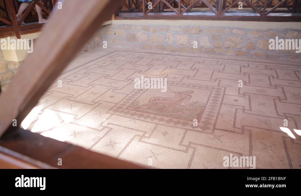 Greek narcissus Stock Videos & Footage HD and 4K Video Clips Alamy