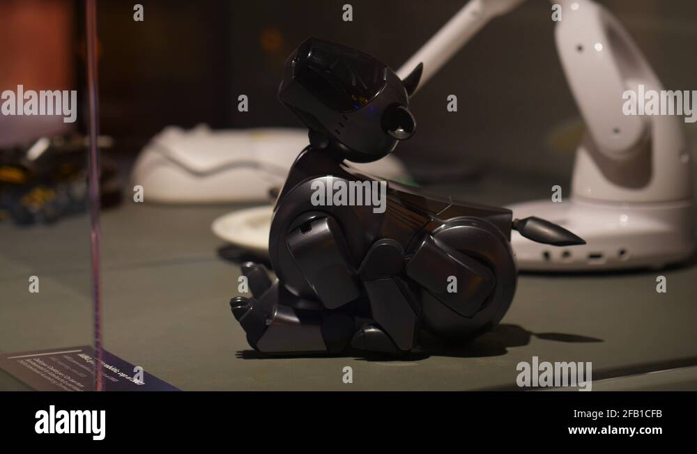 aibo robot dog cost