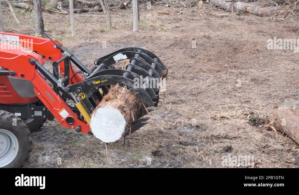 Grappling Stock Videos & Footage HD and 4K Video Clips Alamy