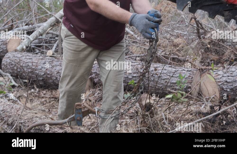 Man hooking up a grappling hook on tractor with logging skid tongs