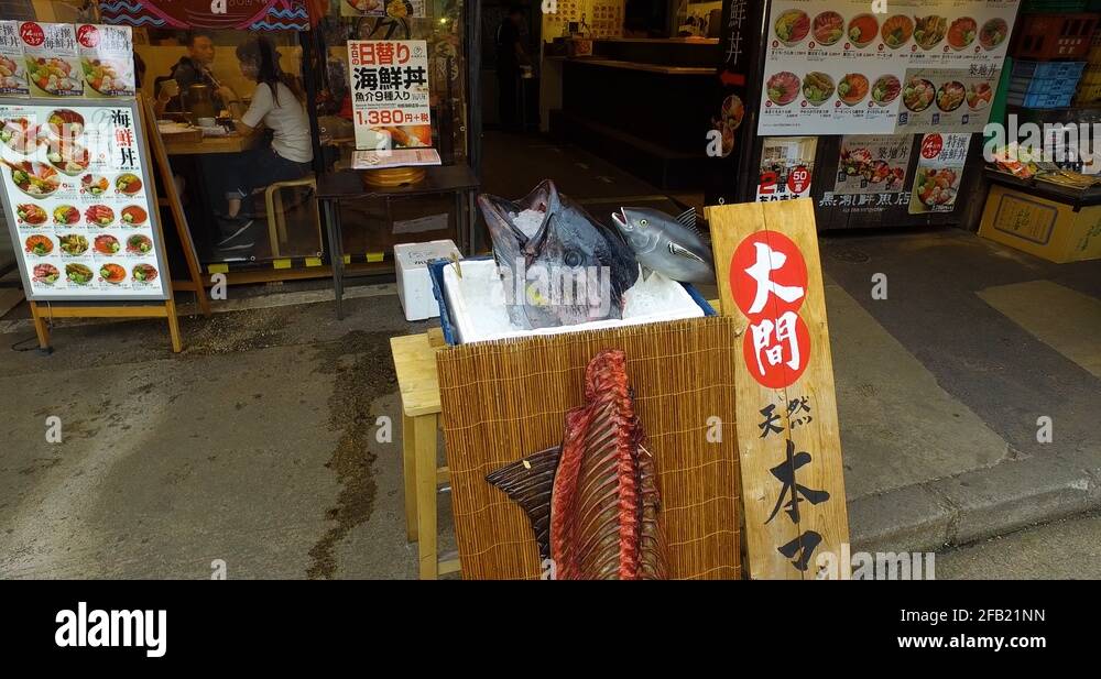 Tuna head Stock Videos & Footage HD and 4K Video Clips Alamy