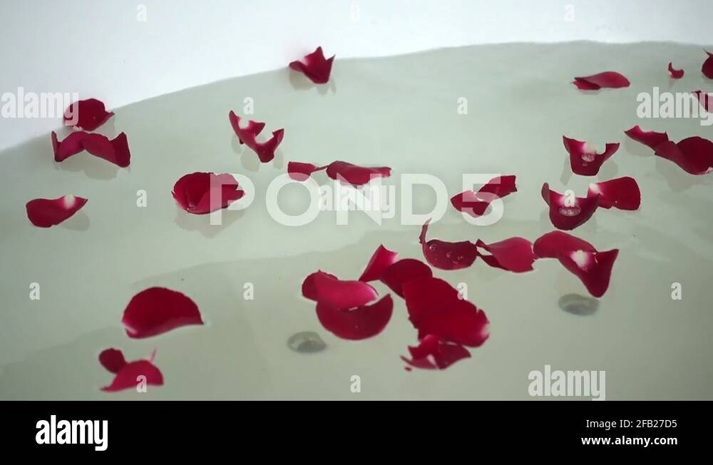 Tub of roses Stock Videos & Footage HD and 4K Video Clips Alamy