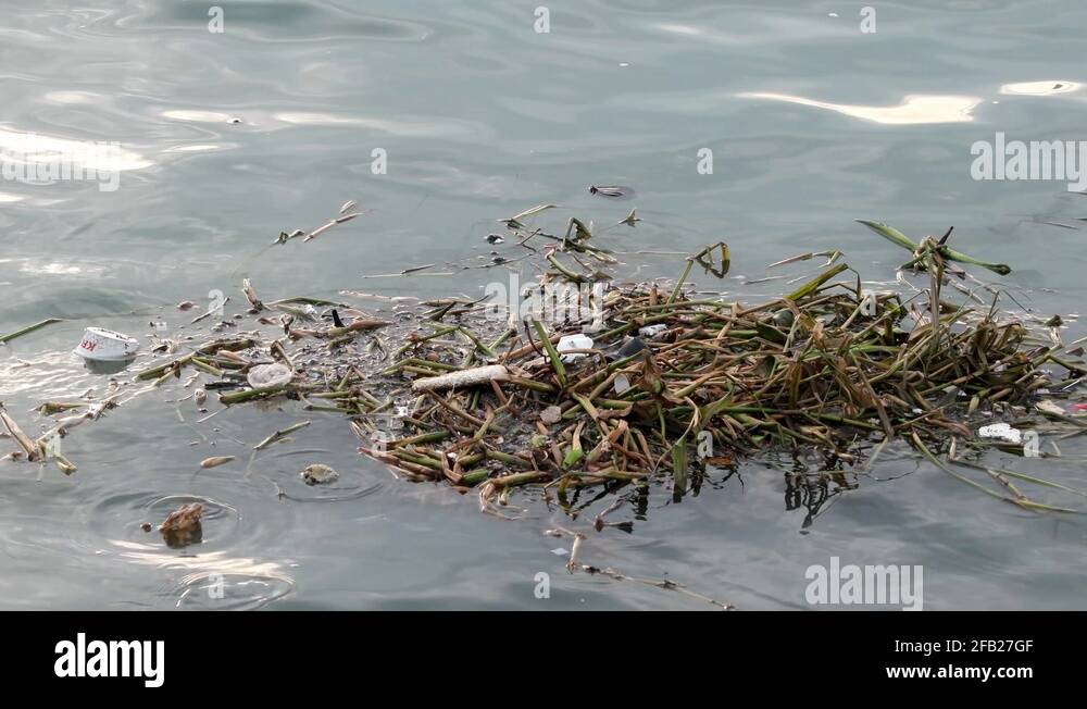 Rubbish floating sea Stock Videos & Footage HD and 4K Video Clips Alamy