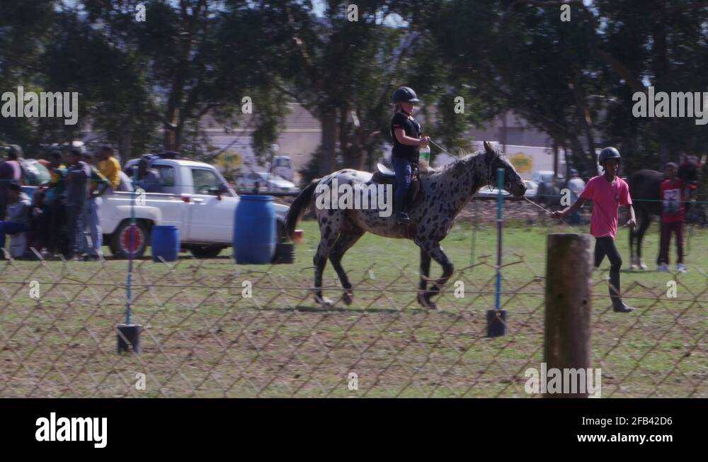 Gymkhana horse Stock Videos & Footage HD and 4K Video Clips Alamy
