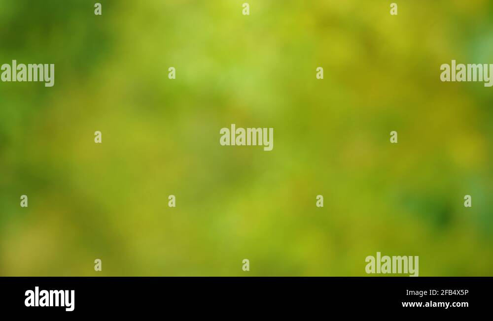 Raindrops falling down isolated on green and yellow blurry nature bokeh