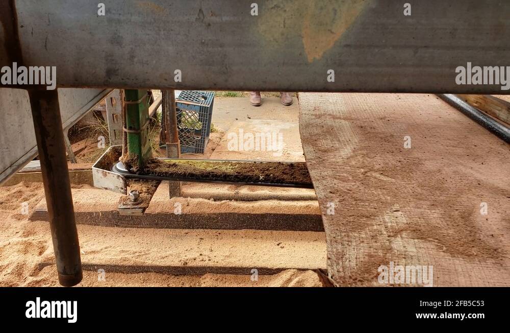 Milling wood slabs Stock Videos & Footage HD and 4K Video Clips Alamy