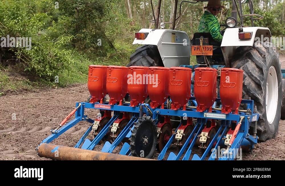 Farmer scattering seed Stock Videos & Footage HD and 4K Video Clips