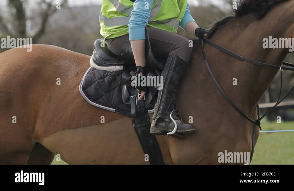 Horse saddle reins Stock Videos & Footage HD and 4K Video Clips Alamy