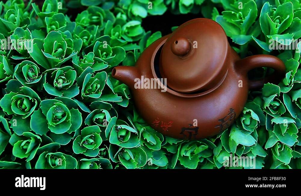 Vintage chinese teapot Stock Videos & Footage HD and 4K Video Clips