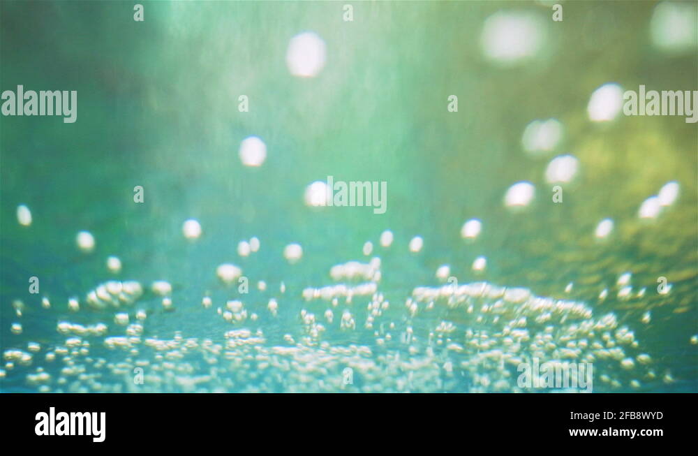 Air bubbles aquarium Stock Videos & Footage HD and 4K Video Clips Alamy