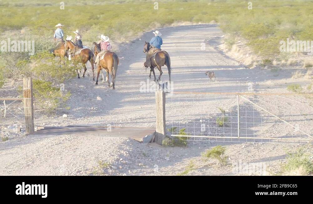 Rancher and sunrise Stock Videos & Footage - HD and 4K Video Clips - Alamy
