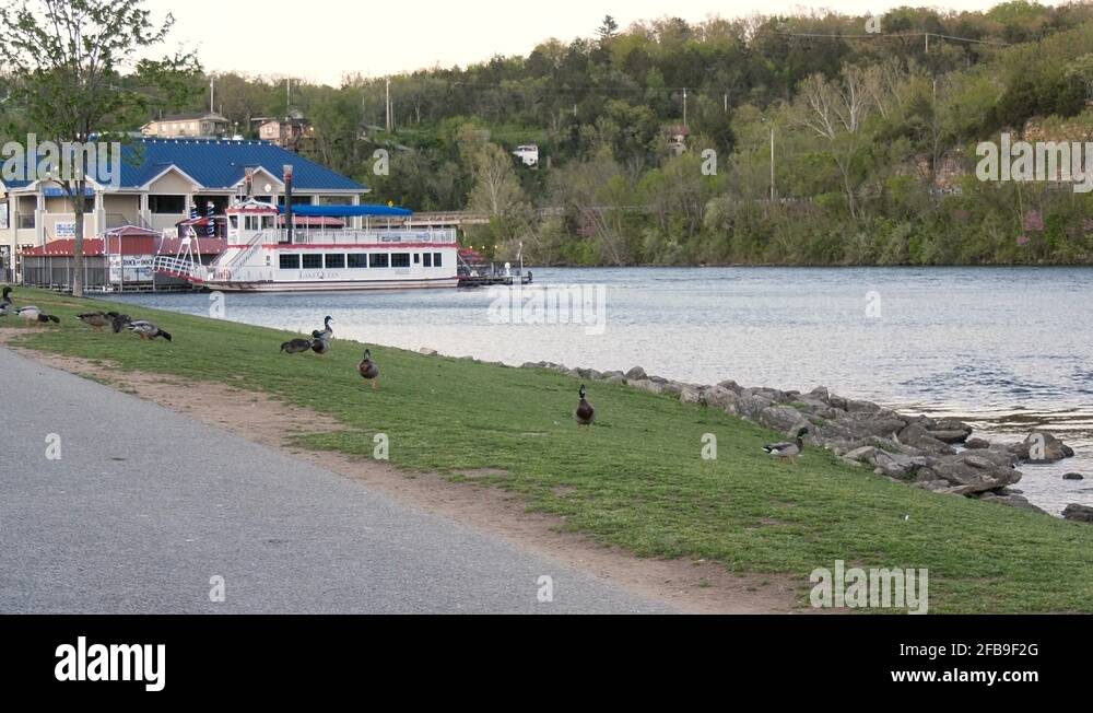 Queen boat Stock Videos & Footage HD and 4K Video Clips Alamy
