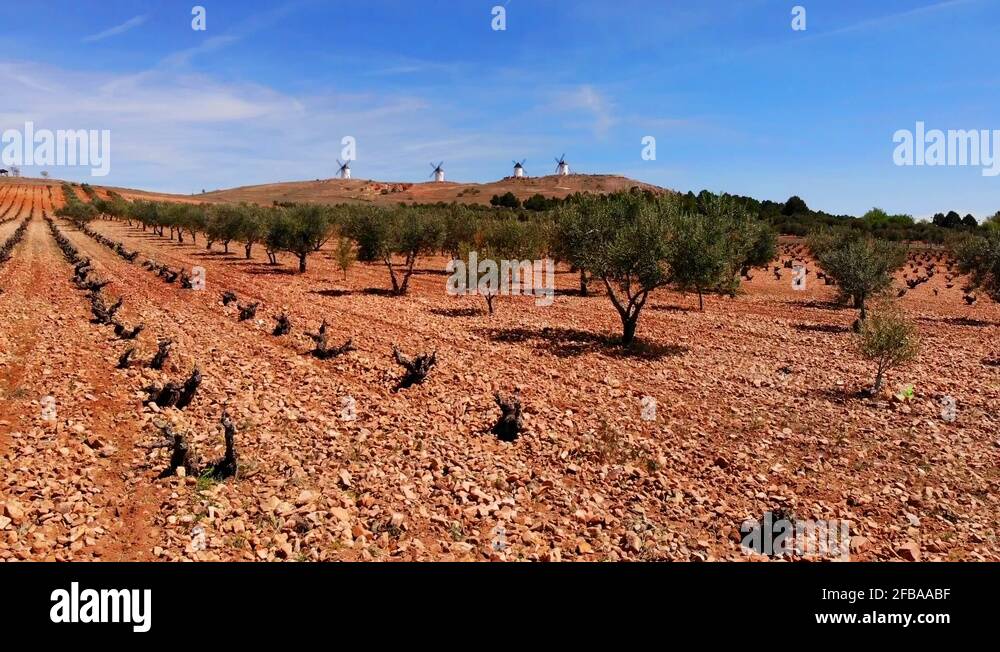 La manchas Stock Videos & Footage HD and 4K Video Clips Alamy
