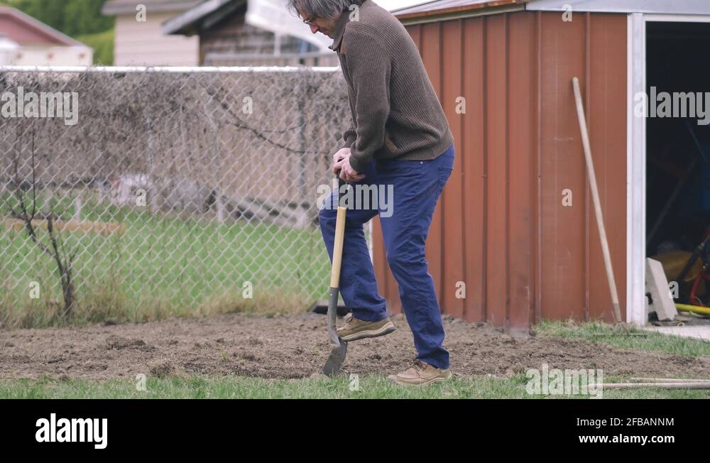 Friendly craftsman handyman construction Stock Videos & Footage HD