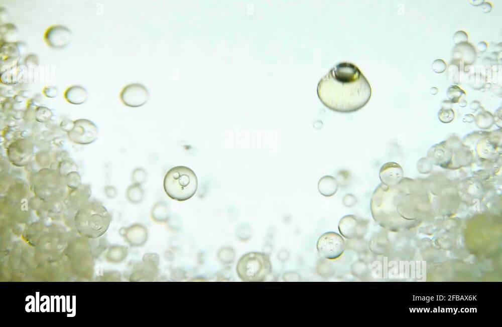 Bubbles of Oil Slowly Rise Up in Water at White Color Background Stock