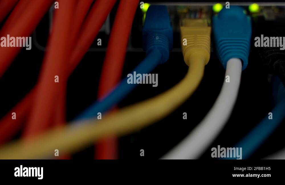 Network panel switch and cables with blinking LED lights in
