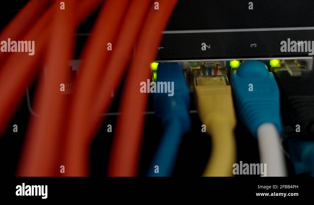 Network panel switch and cables with blinking LED lights in