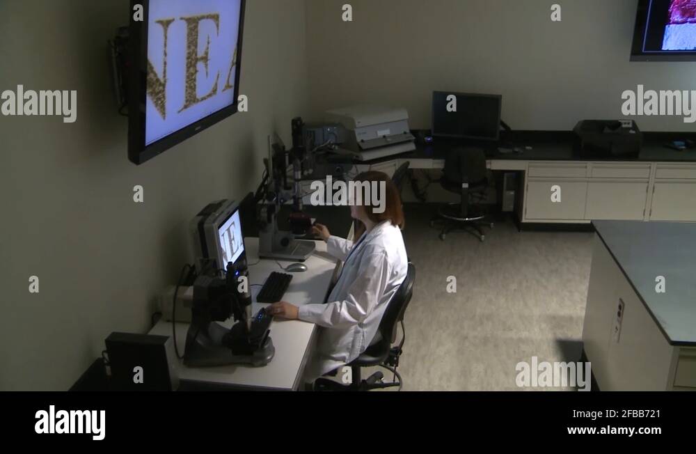 Forensic security Stock Videos & Footage HD and 4K Video Clips Alamy