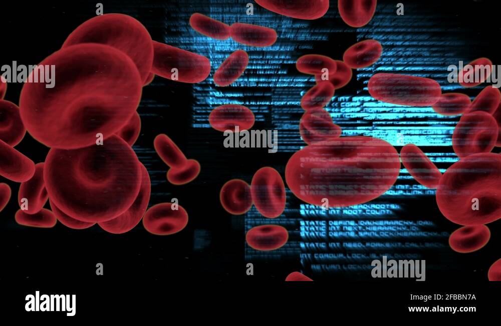 Language functions stock videos footage hd and 4k video clips alamy