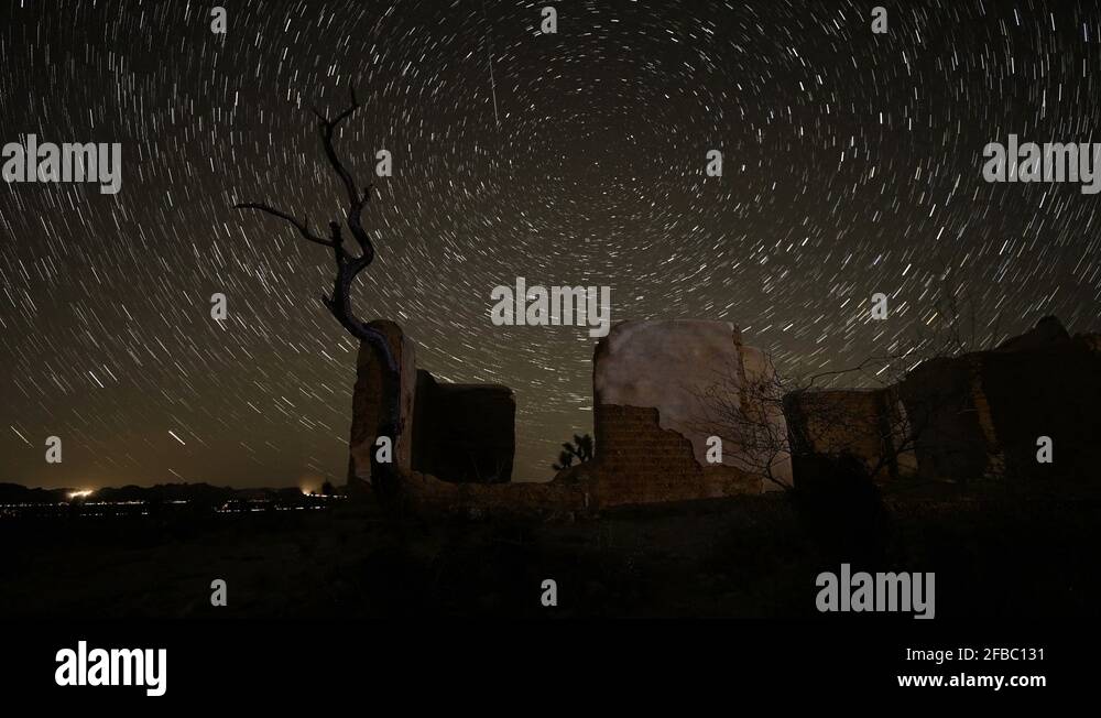 Astrological tree Stock Videos & Footage HD and 4K Video Clips Alamy
