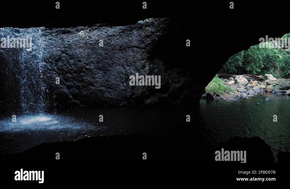 Cave with waterfall Springbrook National Park Stock Video Footage Alamy