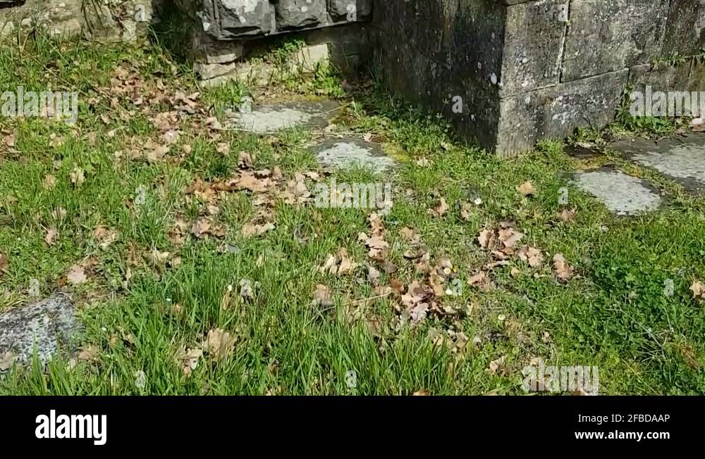 Public laundry wash basins Stock Videos & Footage HD and 4K Video