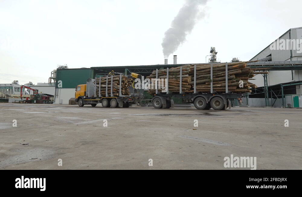 Timber machine Stock Videos & Footage HD and 4K Video Clips Alamy