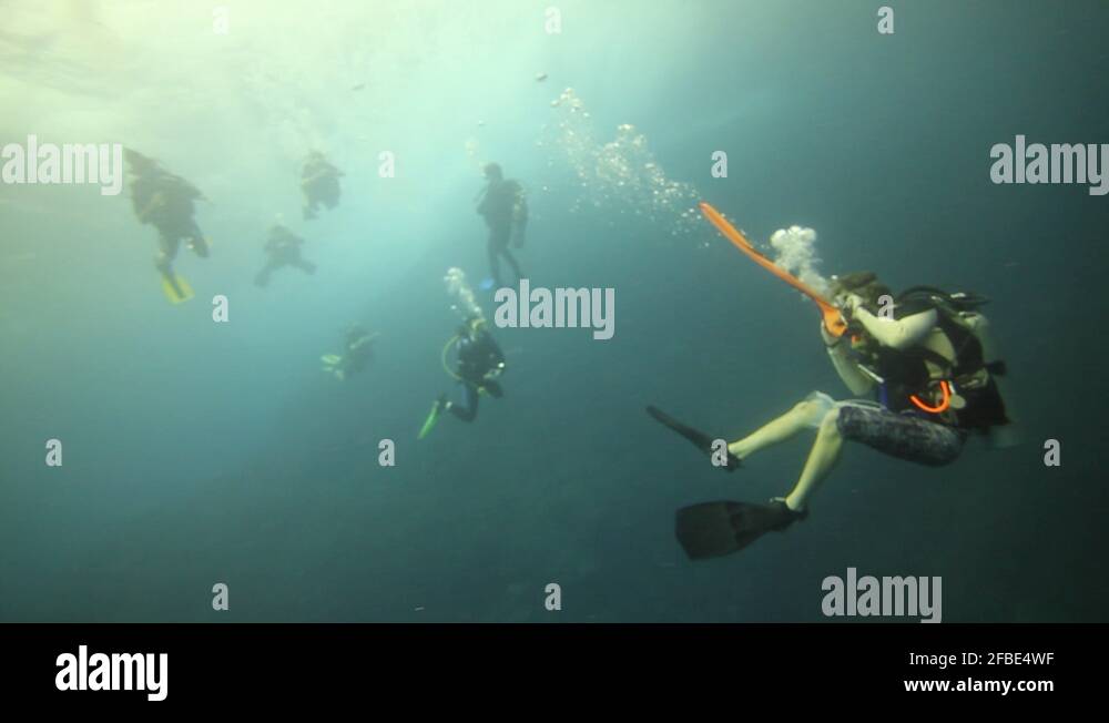 Dive master Stock Videos & Footage - HD and 4K Video Clips - Alamy