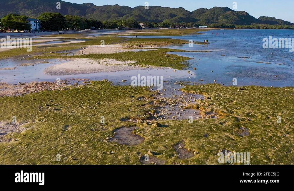 Low level scenery Stock Videos & Footage - HD and 4K Video Clips - Alamy