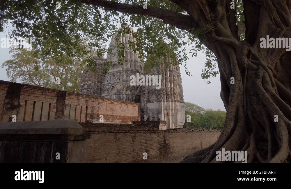 Column roots Stock Videos & Footage - HD and 4K Video Clips - Alamy