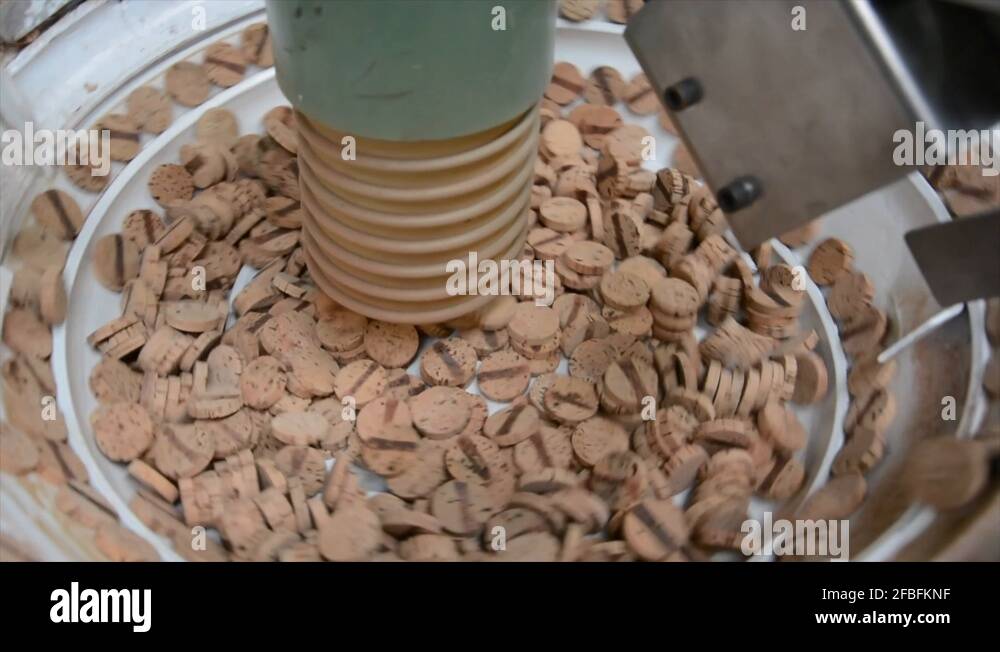 Cork factory, Portugal Cutting, boiling, machines... all process Stock