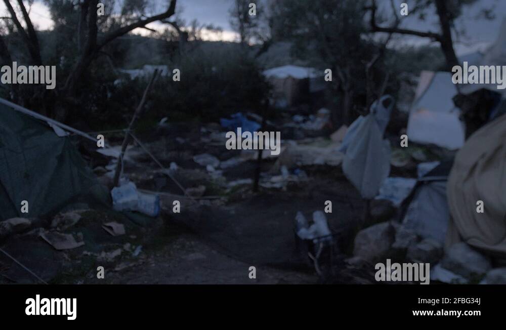 Jungle tent Stock Videos & Footage - HD and 4K Video Clips - Alamy