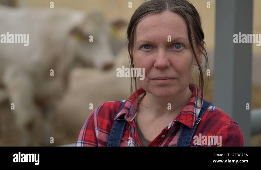 Proud successful farmer at cow dairy farm Stock Video Footage Alamy