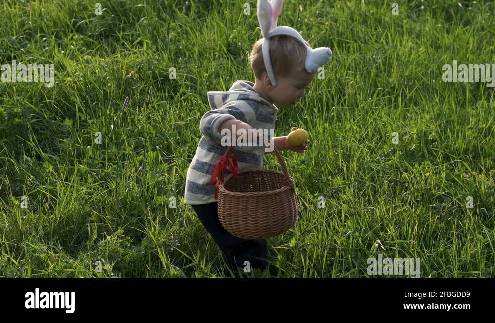 Collecting egg backyard Stock Videos & Footage HD and 4K Video Clips