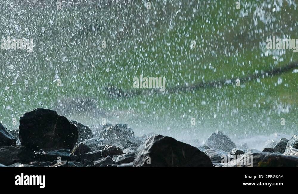 Rain in nature Stock Videos & Footage - HD and 4K Video Clips - Alamy