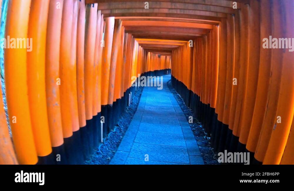 Walking path tunnel of torii gates fushimi inari kyoto japan Stock ...
