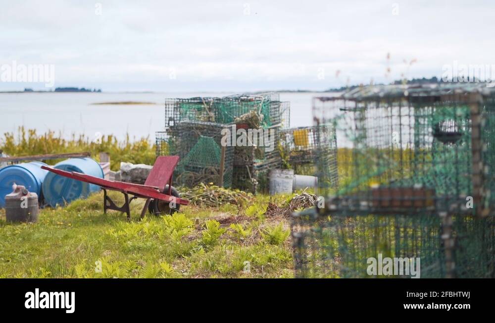 Lobsters traps Stock Videos & Footage HD and 4K Video Clips Alamy