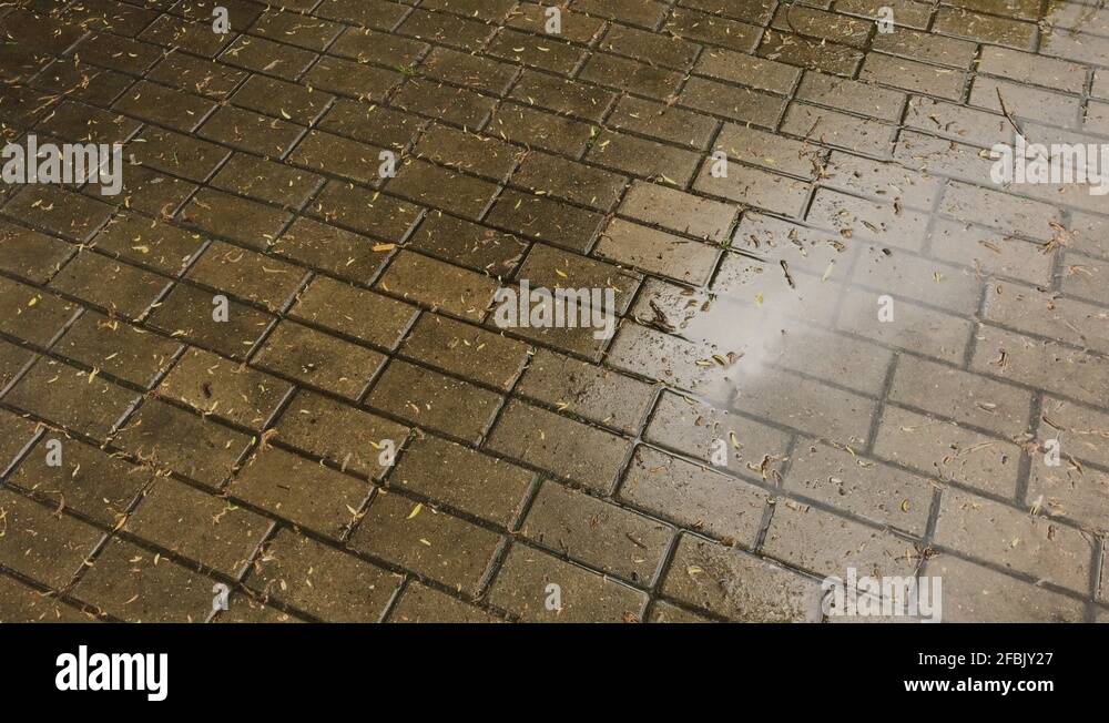 Wet after the rain paving slabs on the street Stock Video Footage Alamy