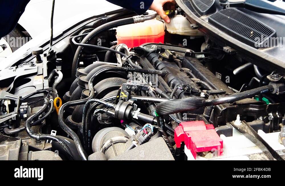 Antifreeze coolant level test Stock Videos & Footage HD and 4K Video