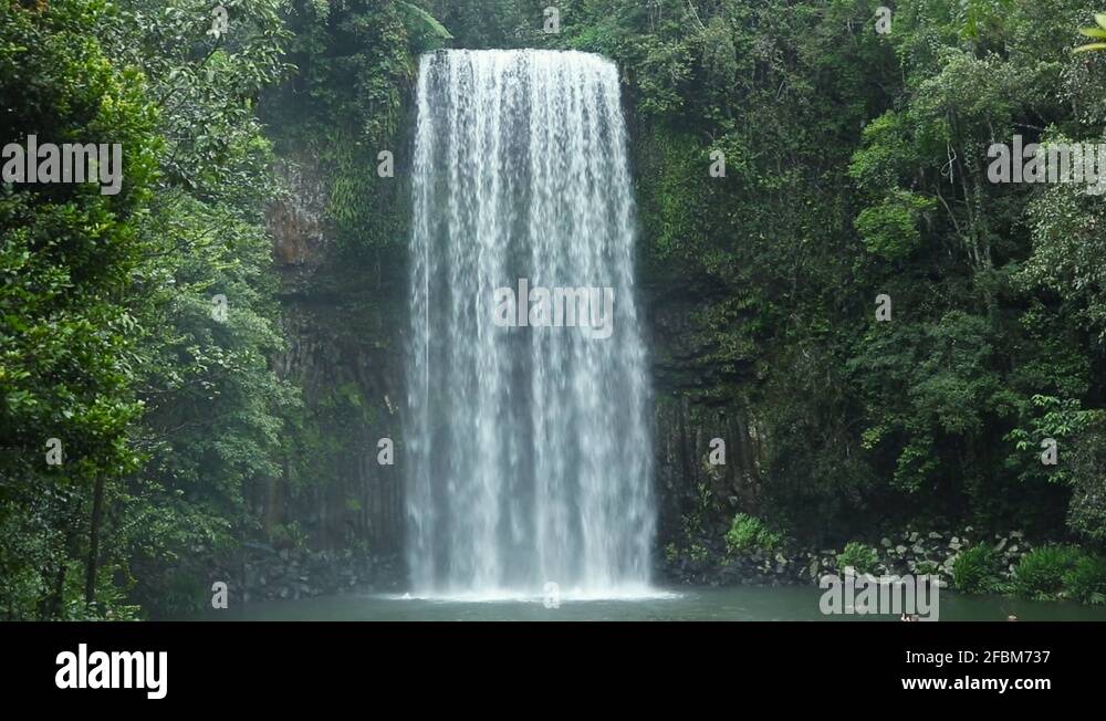 Herbal essences shampoo Stock Videos & Footage HD and 4K Video Clips Alamy