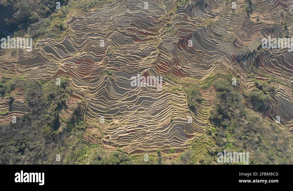 Irrigation system asia Stock Videos & Footage HD and 4K Video Clips