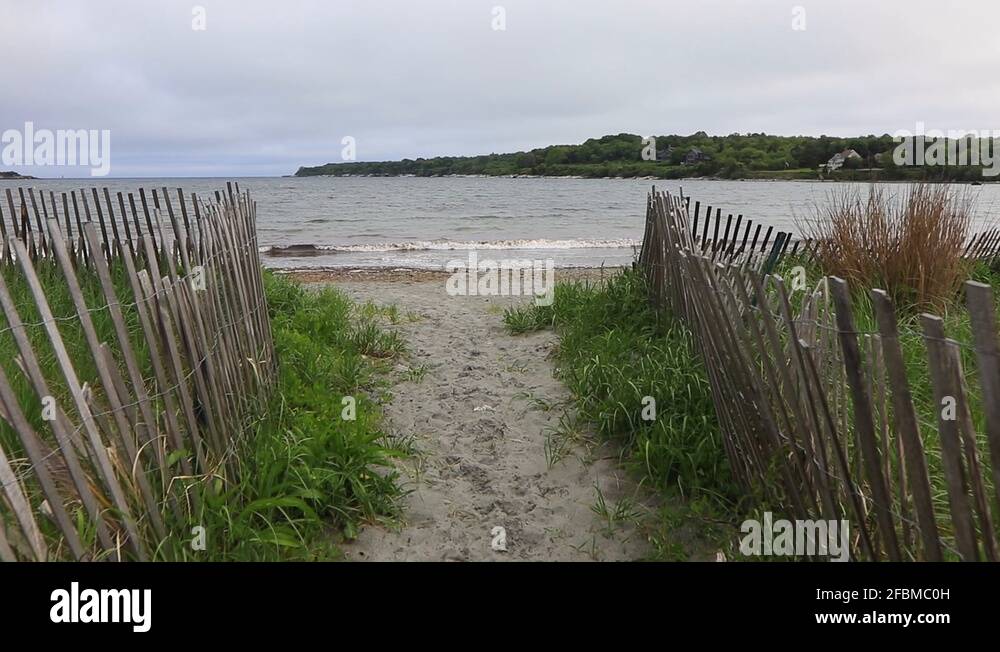 Mackerel on beach Stock Videos & Footage HD and 4K Video Clips Alamy