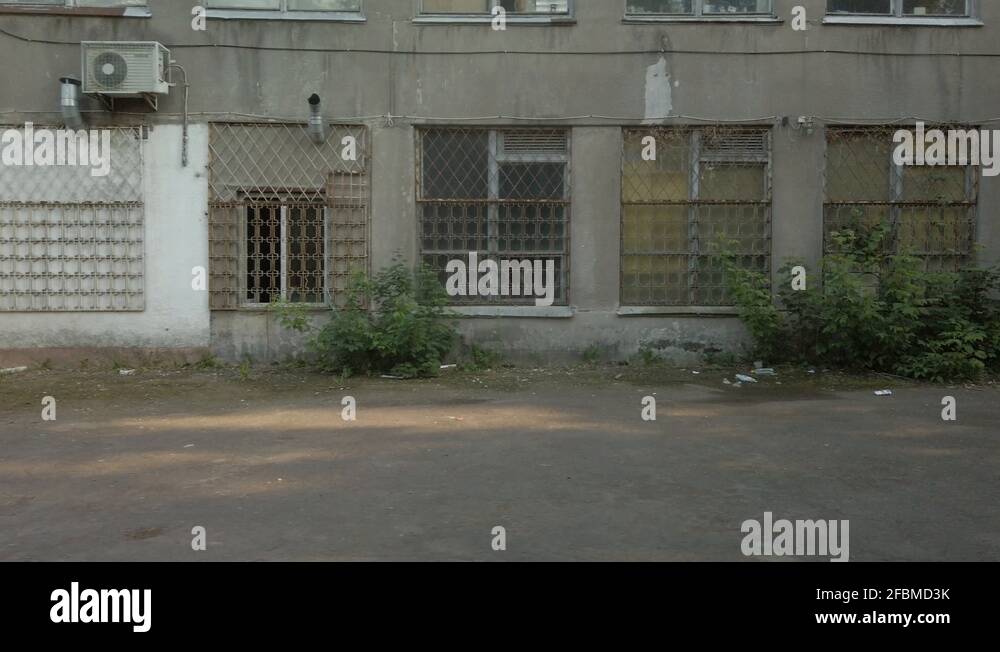 Vines on architecture Stock Videos & Footage HD and 4K Video Clips